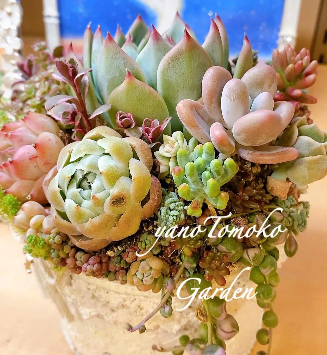 本年もお世話になりました。明日から感謝をカタチにキャンペーン始まります。